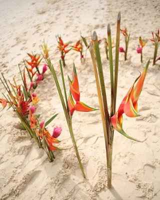 Flower ideas for beach wedding