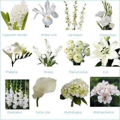 Flower ideas for beach wedding