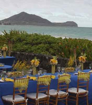 Chair sashes without chair covers?