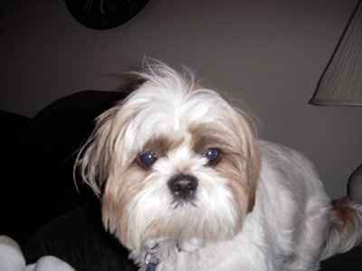 It's my baby's 1st Birthday! (PICS)