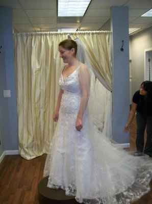 I got my dream dress! Can it be July now?