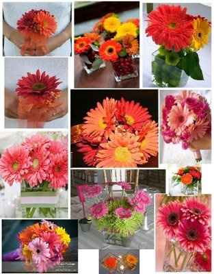 NWR:    Thank you WW!!!!