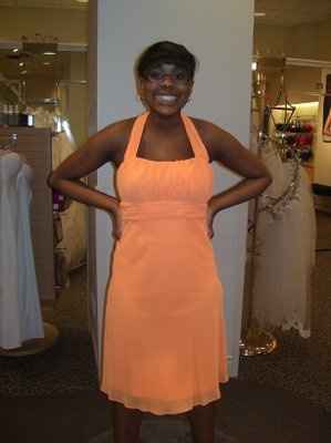 Bridesmaid Dress (Pics)