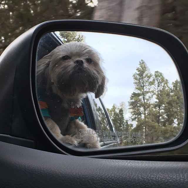 NWR: post pics of your pets!!