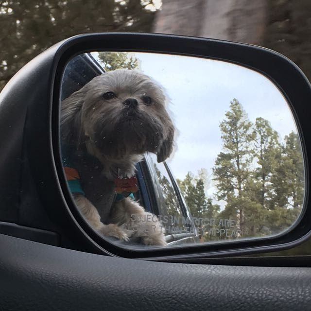 NWR: post pics of your pets!!