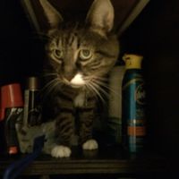 NWR Happy Fursday!!!