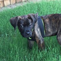 NWR Happy Fursday!!!