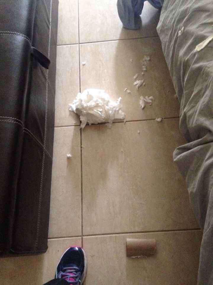 NWR Fursday Thursday