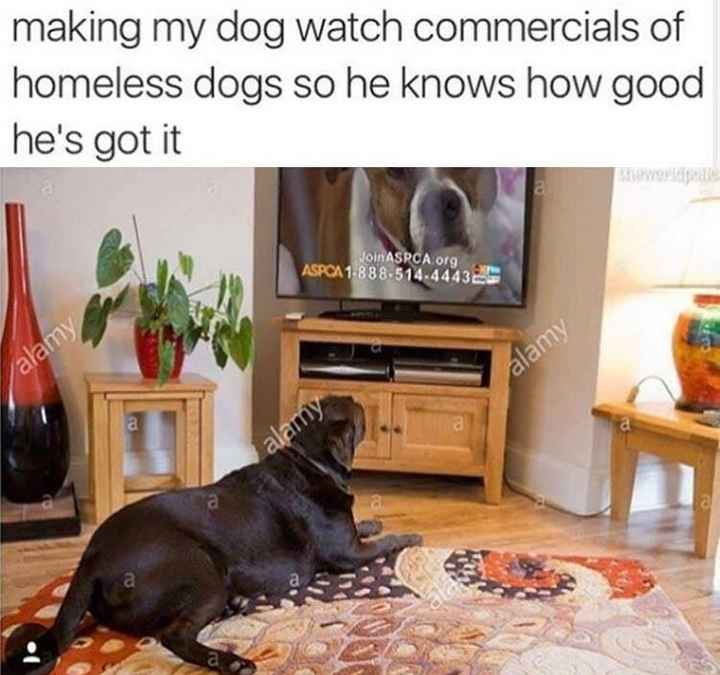 NWR: Fursday Thursday