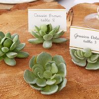 Succulent Centerpieces?