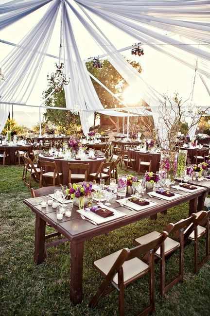 Colors & Venue