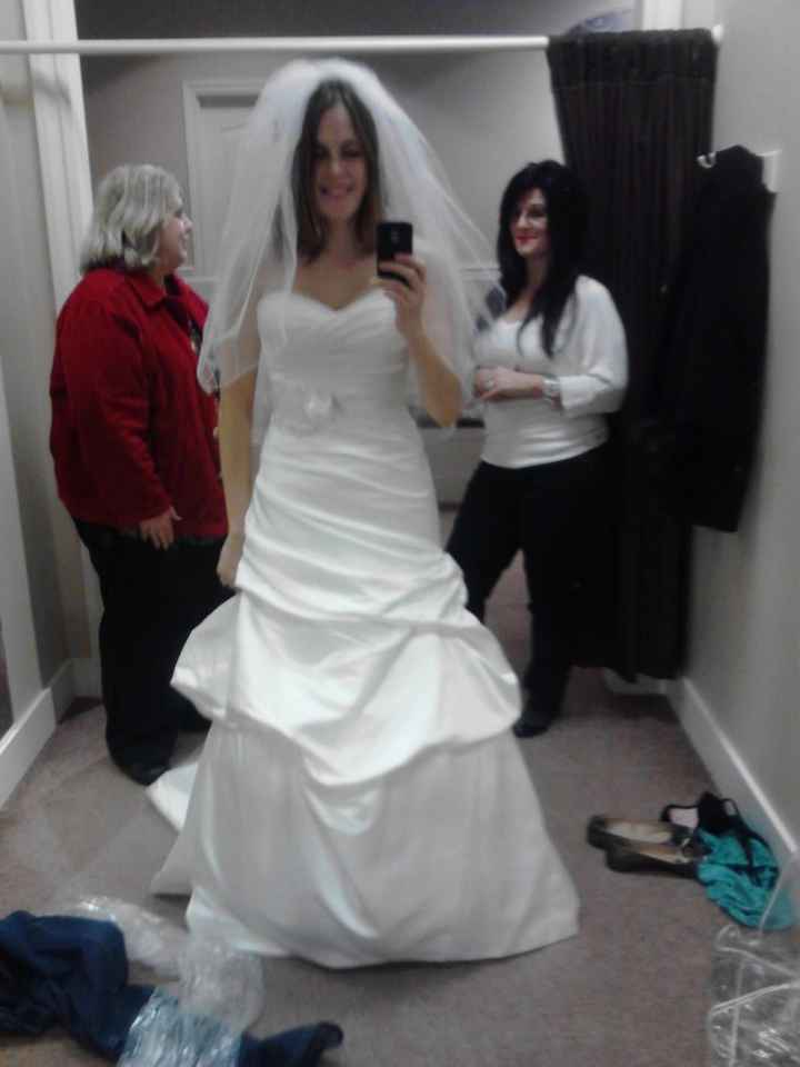Final Fitting and Hair Trial Pics!!!