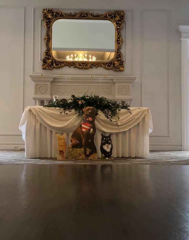 How to include our cats in the wedding day, without having them there? - 1