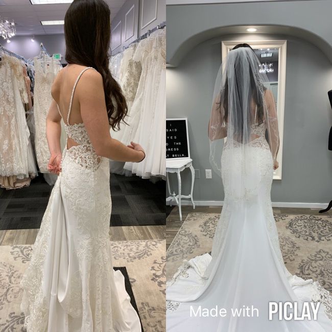 Yes to the dress..... but - 2