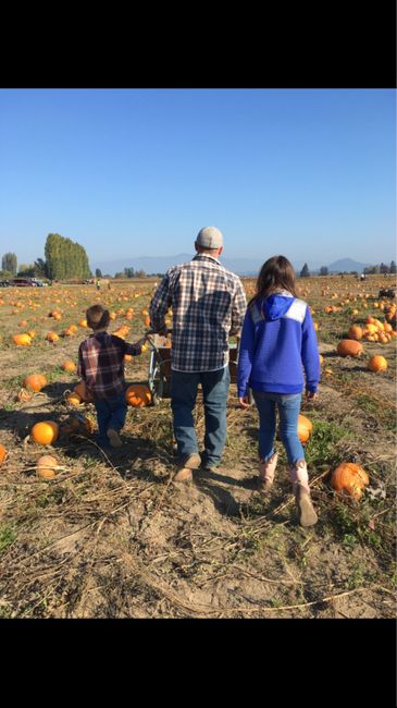 Engagement shoot - 1