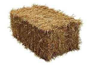 Which is worse- dry weddings or hay bale seating?