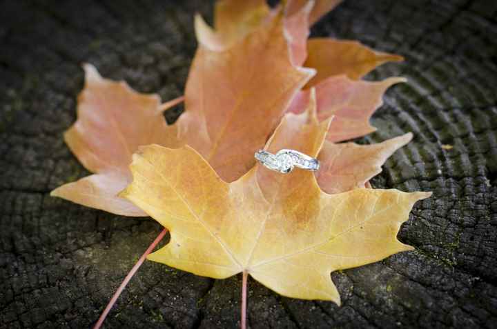 Ring pics!