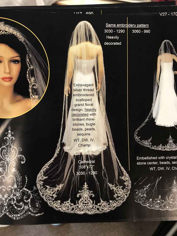 Veil excitement/image! - 1