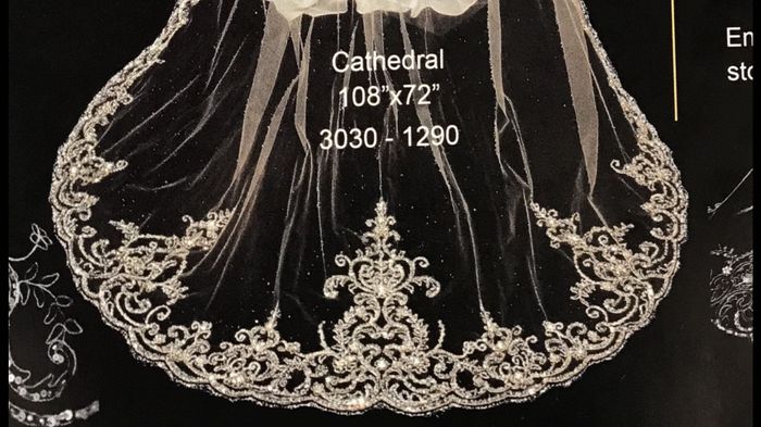 Veil - 1