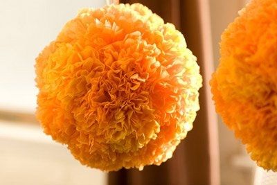 DIY hanging kissing ball for ceremony isle