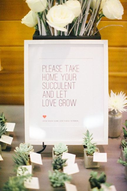 Succulent favor