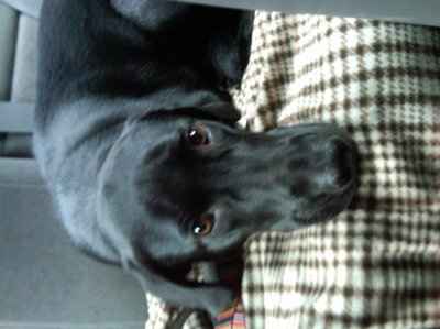 NWR: More Picture Fun
