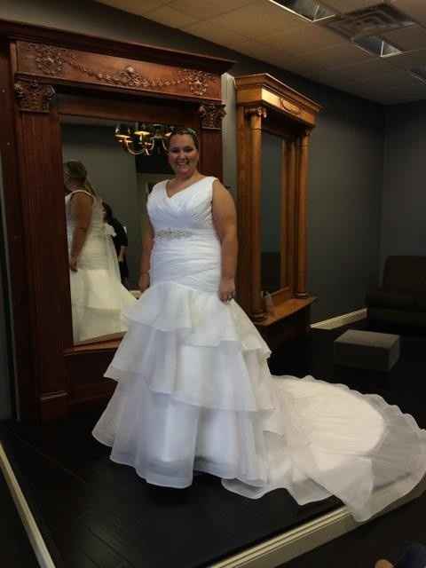 YES! Got the call MY Dress is IN!! *Updated with Pictures*