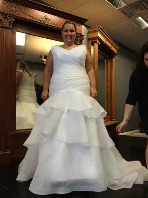 YES! Got the call MY Dress is IN!! *Updated with Pictures*