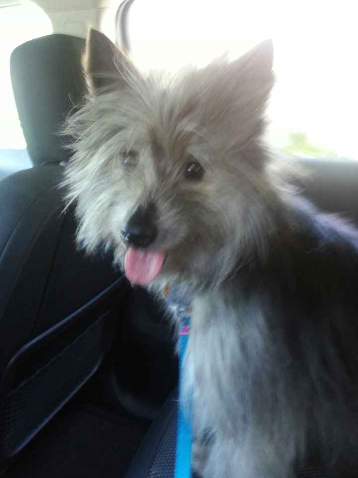 NWR: It's My Birthday and Became Dogie Parents this weekend!