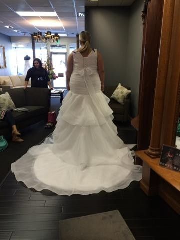YES! Got the call MY Dress is IN!! *Updated with Pictures*