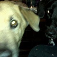 Let's get to know each other ladies!