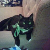 Let's get to know each other ladies!