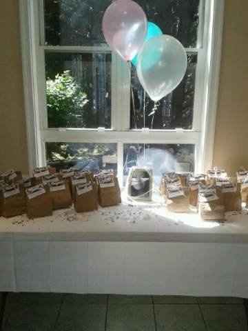 Bridal Shower Pics :)