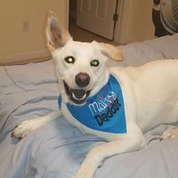 What’s your love story? ❤️ - 1