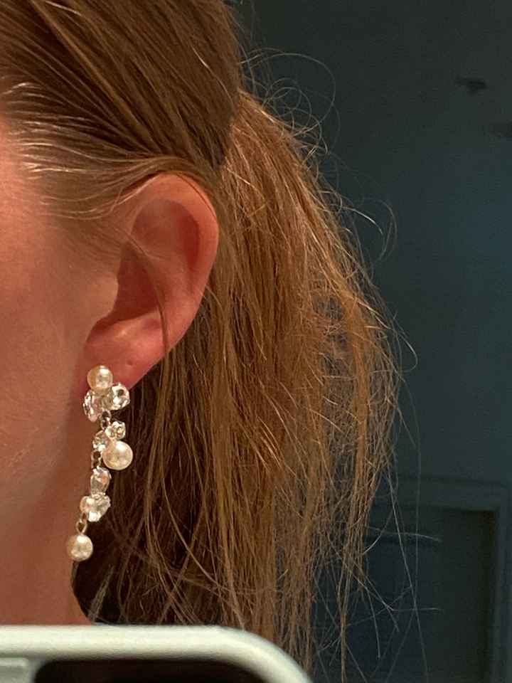 Which earrings - 1