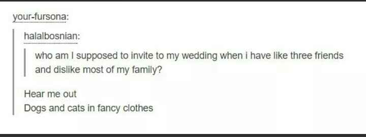 Can This Become A Thing?