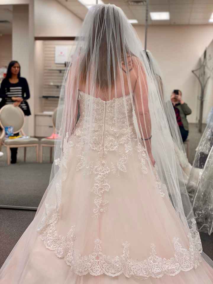 Wedding Veil - 6