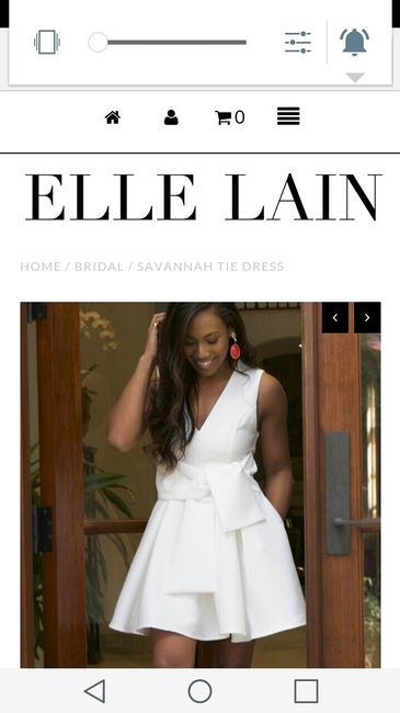 Bachelorette and Bridal Shower Dress