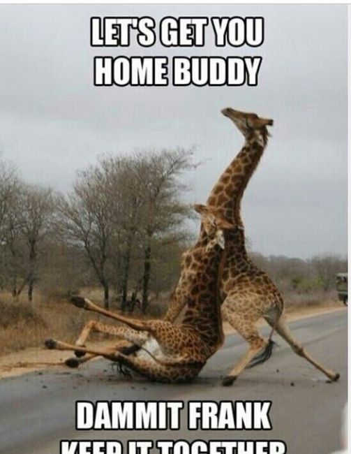 NWR: Favorite Memes!