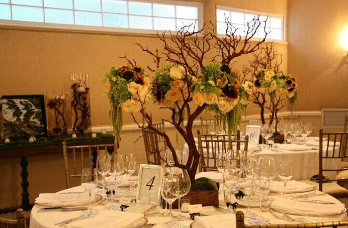 Outdoor Theme Decor Ideas