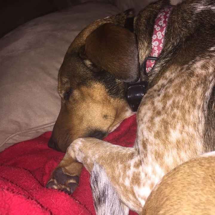 NWR- Traditions with FH