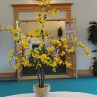 Back and married!!!! Pics