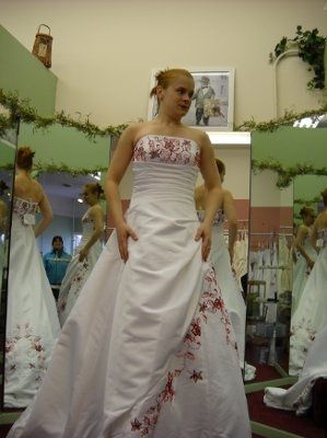 MY DRESS CAME!!!! pic heavy