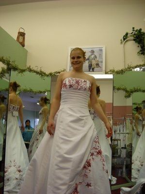 MY DRESS CAME!!!! pic heavy