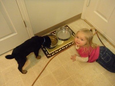 NWR: Lets see our pets!!