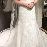 Sleeves or no sleeves? - 4