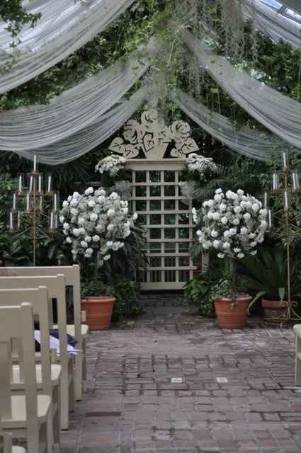 Back with pro pic!!! Heavy