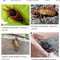 Hey ladies if your trying to have an outdoor wedding this spring - 1