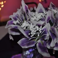 Back with pro pic!!! Heavy