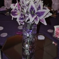 Back with pro pic!!! Heavy